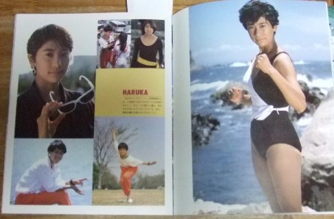 「マスクマン・メタルダー」スーパー・ビジュアル・スペシャル⑪（美品・１９８７年） マスクマン・メタルダー」スーパー・ビジュアル・スペシャル⑪