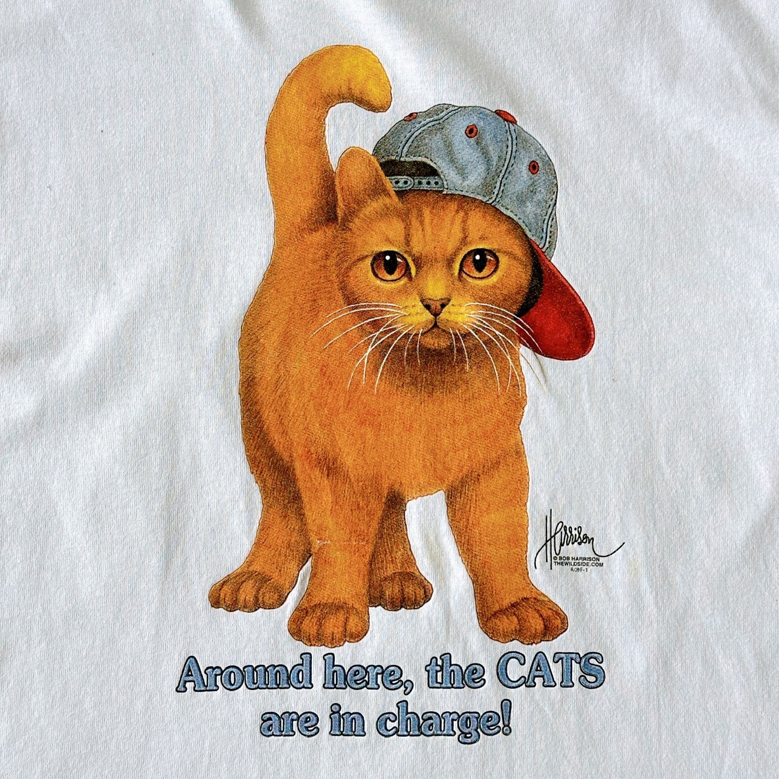 【USA製】90s BOB HARRISON プリント Tシャツ 猫 アニマル 楽天市場】90s USA製 ☆ ボブ ハリソン 猫 アニマル アート 両面