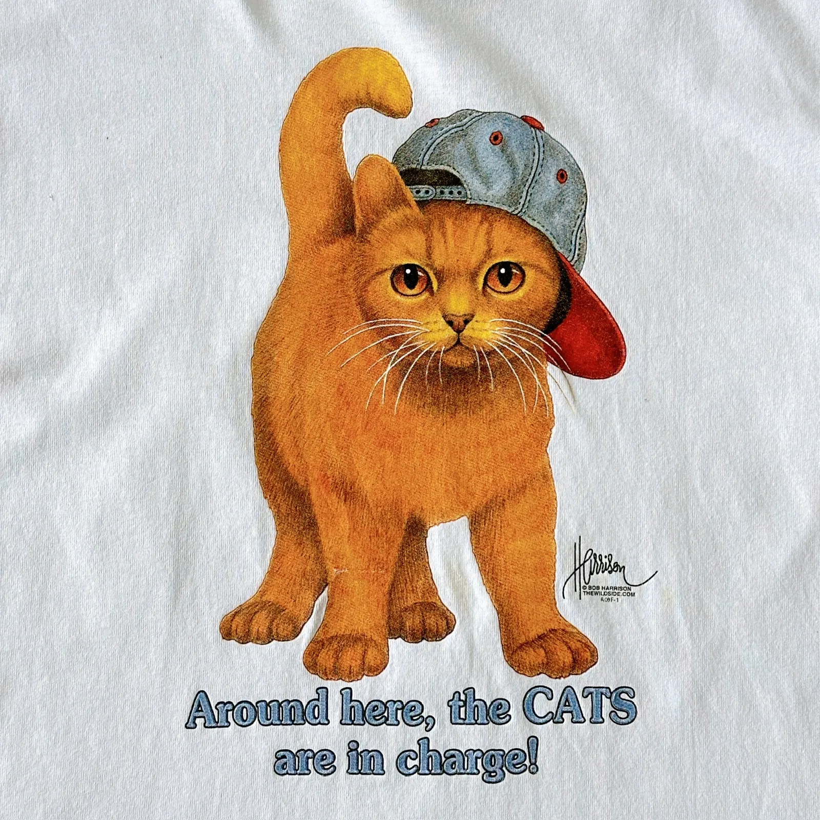 90s USA製 ALL SPORT ボブハリソン アニマル プリントTシャツ 猫 All