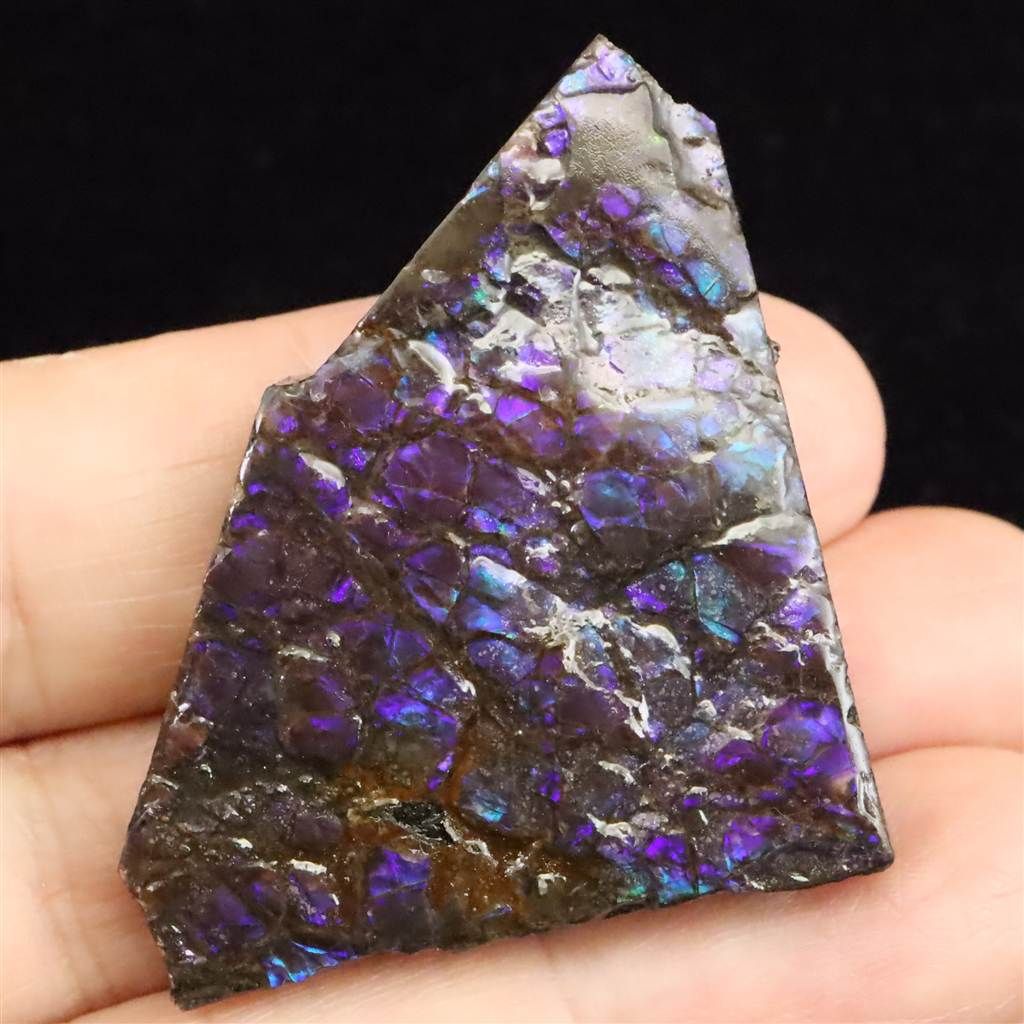 アンモライト アンモナイト化石 スライス 原石 14.8g 【榎本