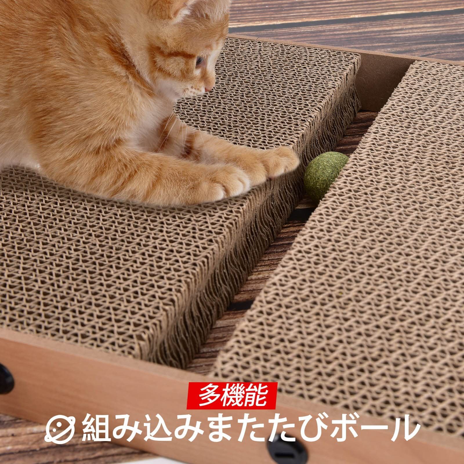 爪研ぎ