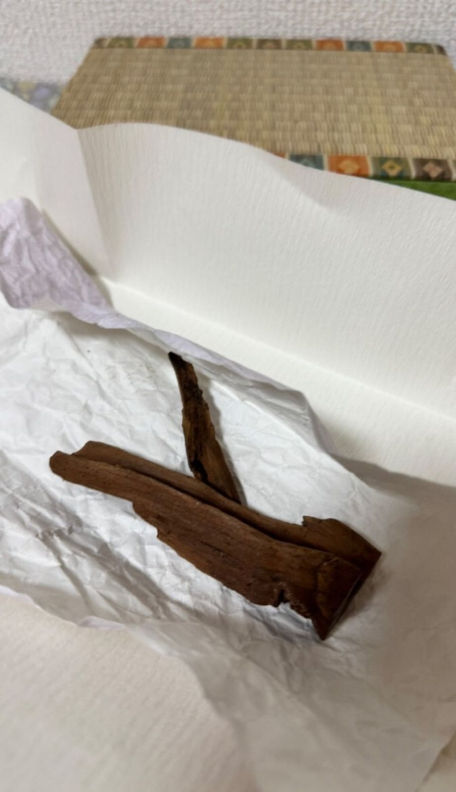 伽羅木