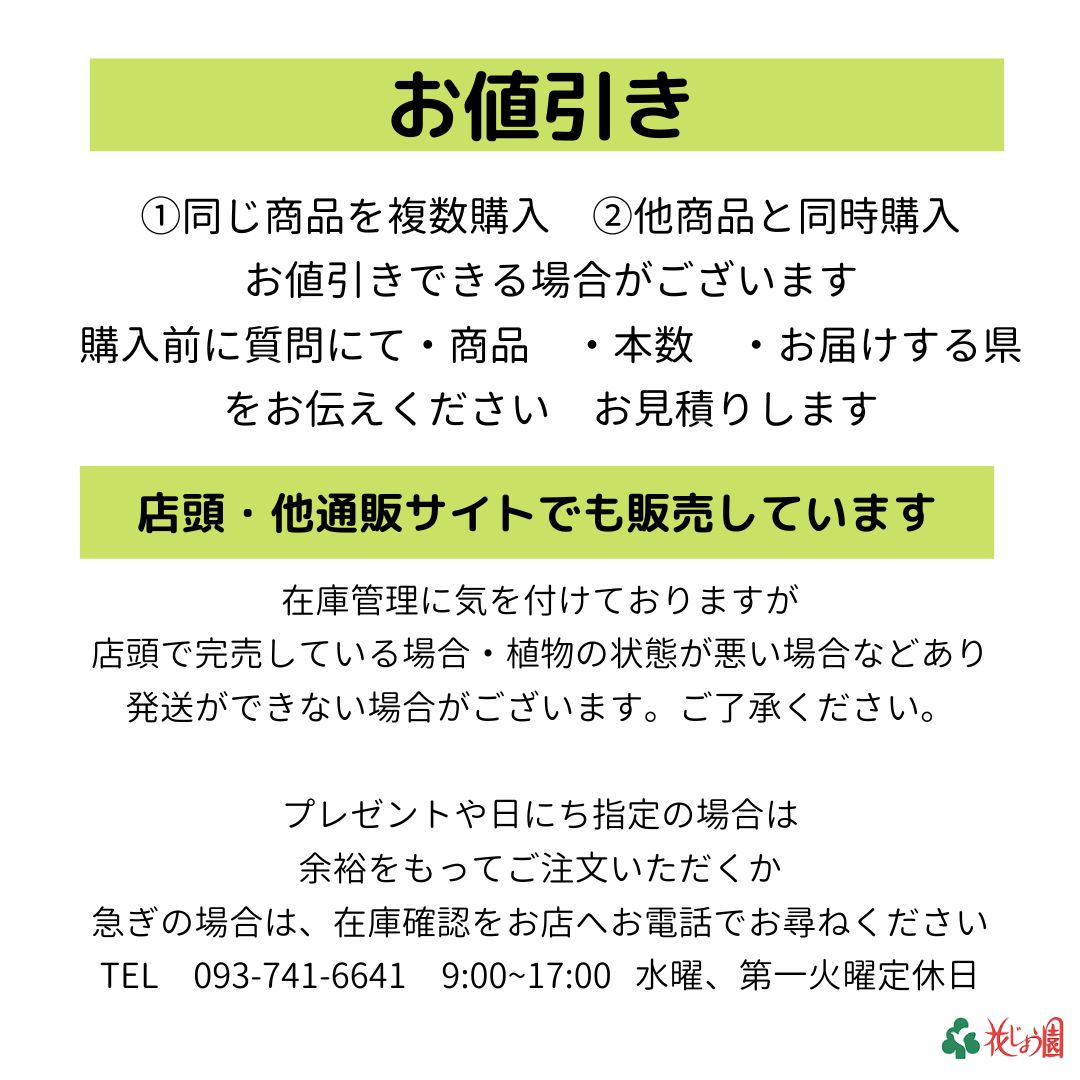 ぽぽろん様専用・信楽焼 陶器鉢 - メルカリ