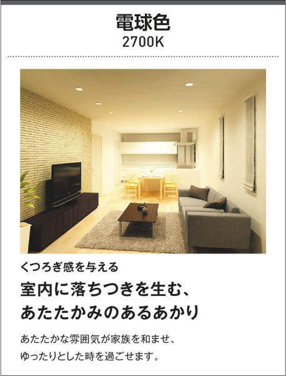 コイズミ照明 薄型ブラケットライト(白熱球60W相当)電球色 AB43840L AB42176L コイズミ照明 ブラケットライト 白熱灯器具60W相当 電球色