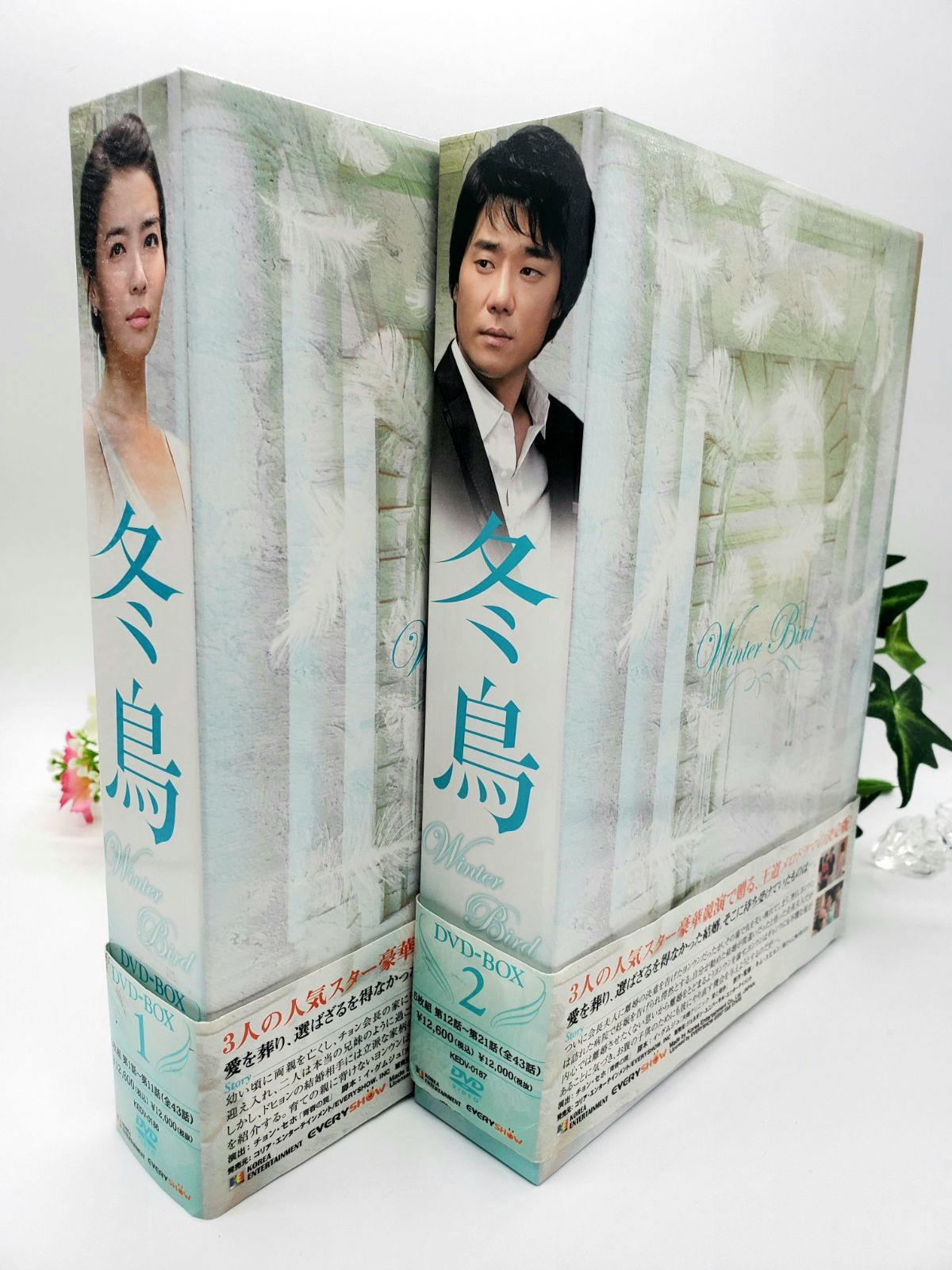 04◇韓国ドラマ　冬鳥　DVD－BOX　IY0924-6 04◇韓国ドラマ 冬鳥 DVD－BOX IY0924-6