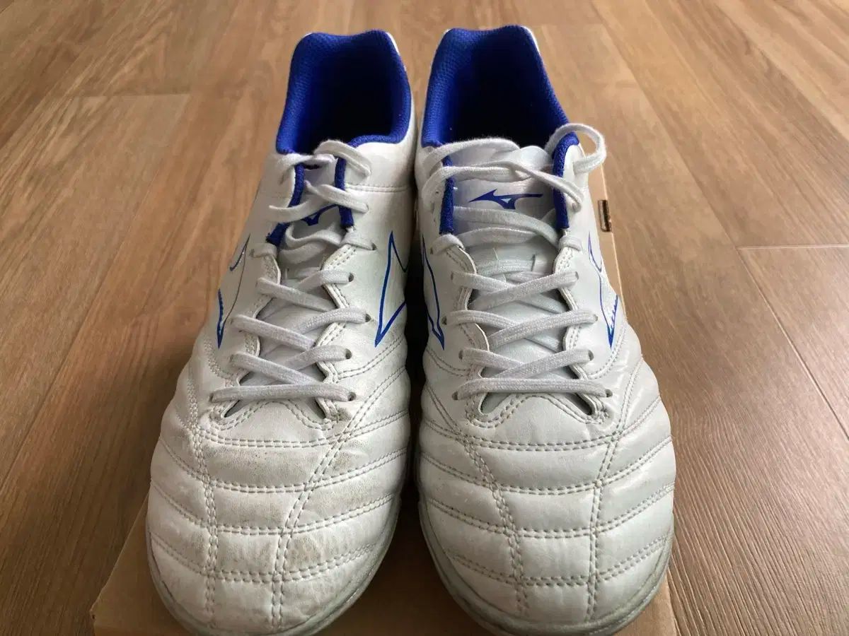 モナルシーダ ネオ