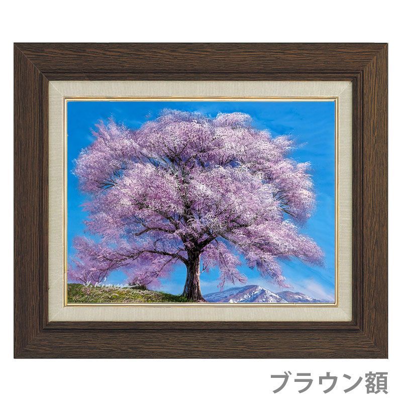 41㎝角「朝の桜」油彩・原画・S6 ☆ 油彩画 F6号 木村由記夫 「王仁塚の桜(わに塚のさくら