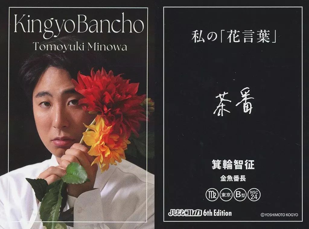 よしもとコレカ 6th Edition 金魚番長 4枚セット FANY よしもとコレカ