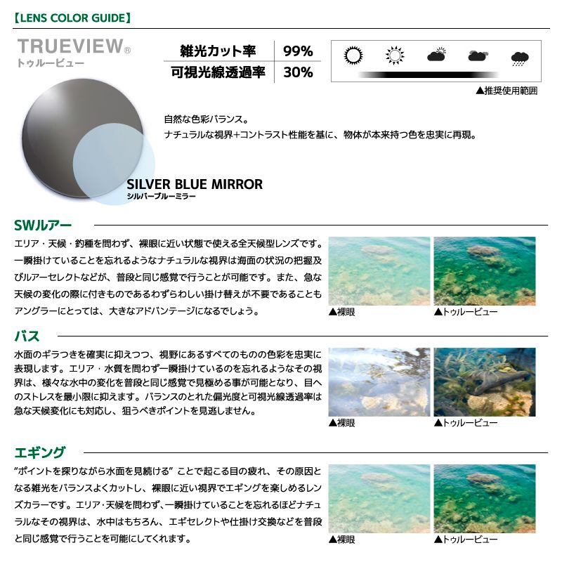 【試着のみ】Daiwa偏光グラスTLX027 トゥルービューシルバーブルーミラー 楽天市場】 ダイワ(Daiwa) TLX 027 マットブラック トゥルービュー