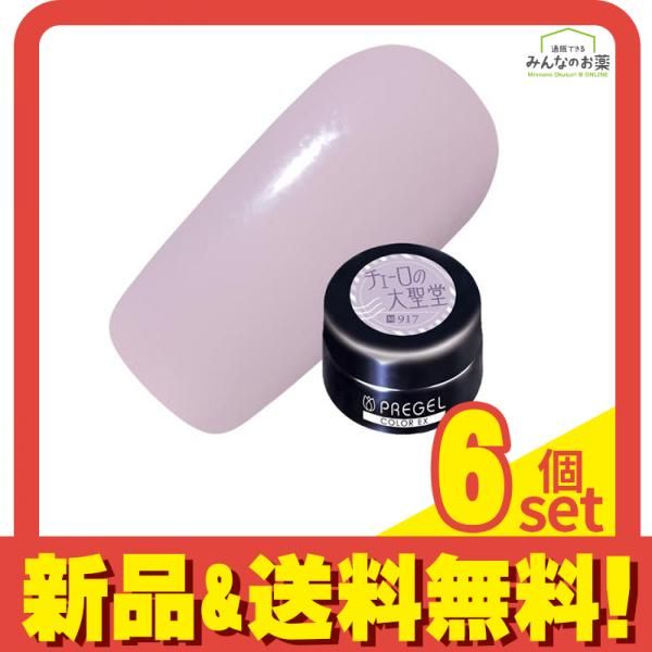 PREGEL(プリジェル) カラーEX  PG-CE917 チェーロの大聖堂 3g 6個セット まとめ売り