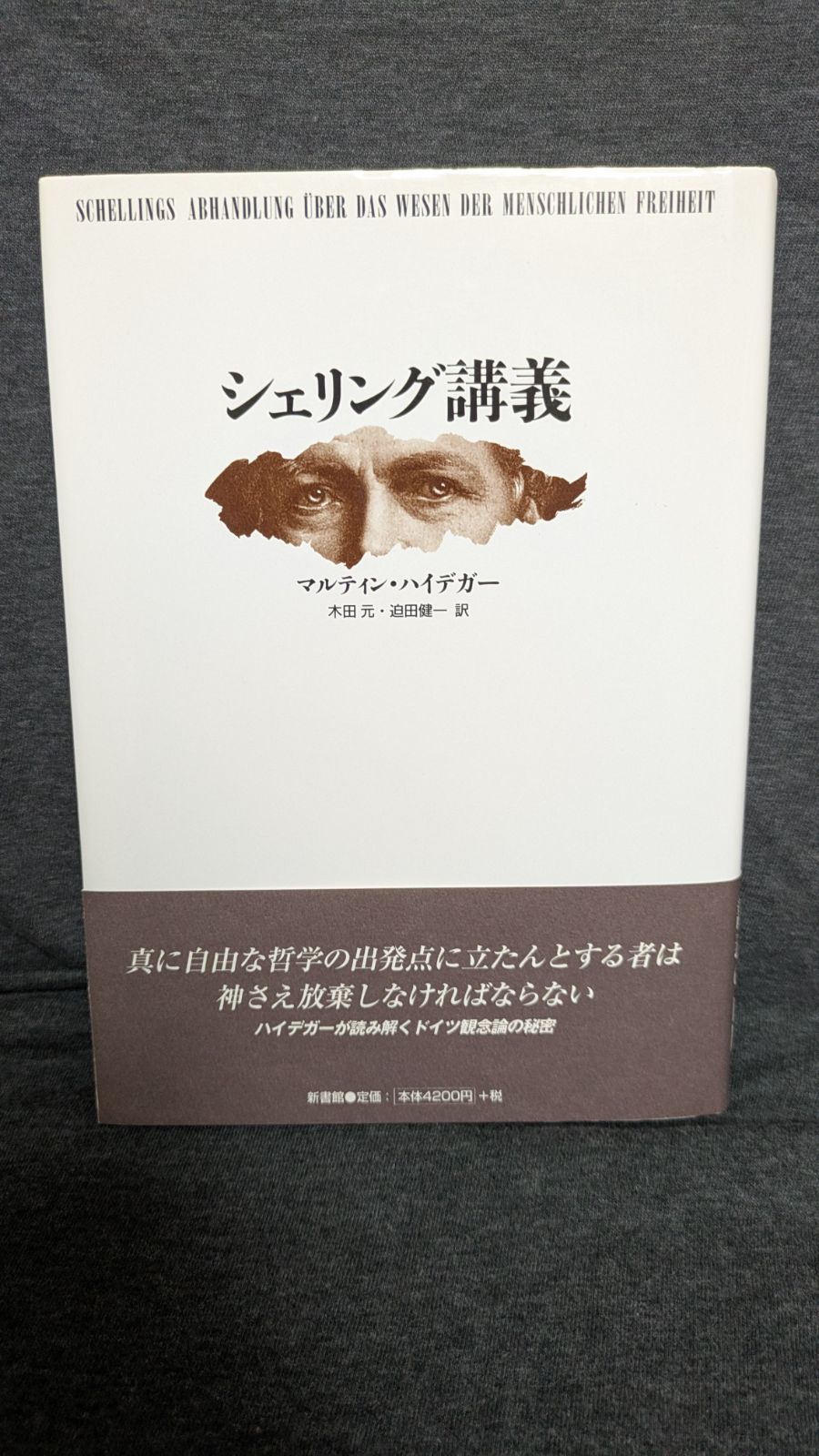 シェリング講義 ハイデガー|木田元 迫田健一訳|新書館