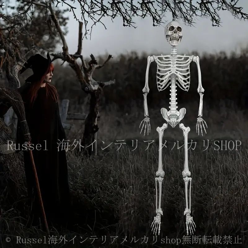 ハロウィン　骸骨　置き物 置物 オブジェ 骸骨 ガイコツ ドクロ スケルトン 全身 標本 等身