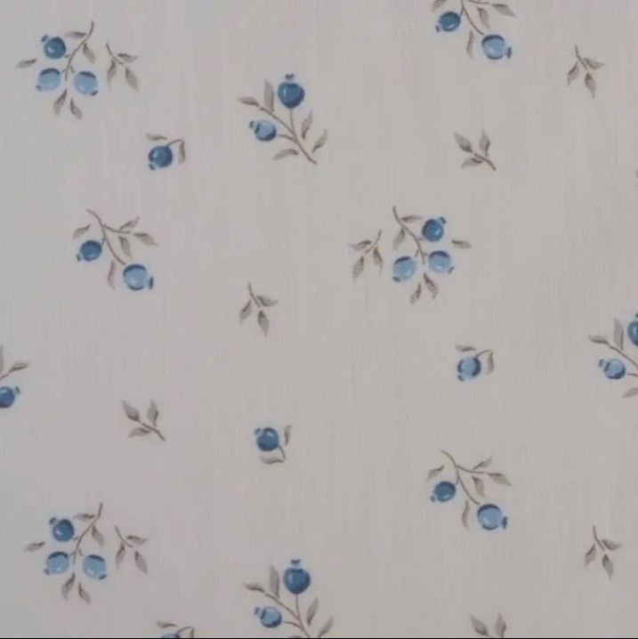 フランス生地 ブルー - メルカリ 