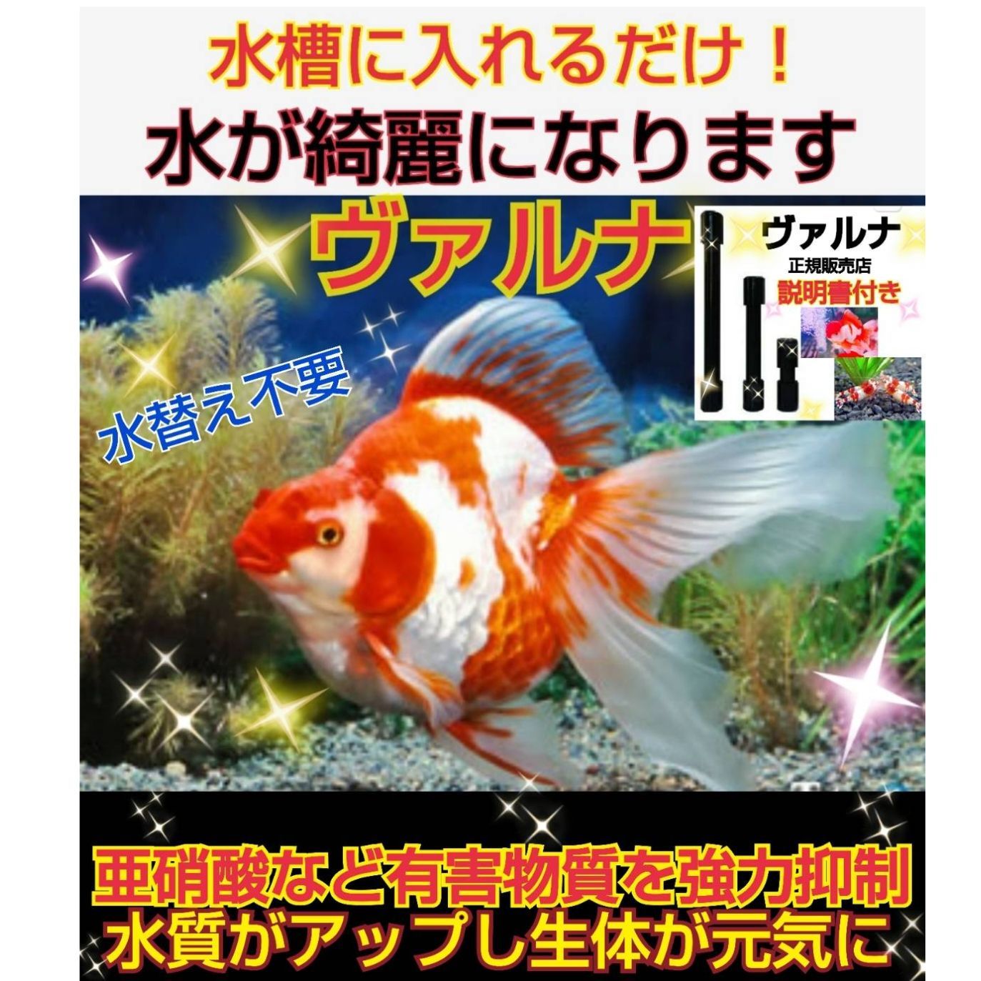 ヴァルナミニ 15センチ 水槽の透明度が抜群に！有害物質強力抑制！水 