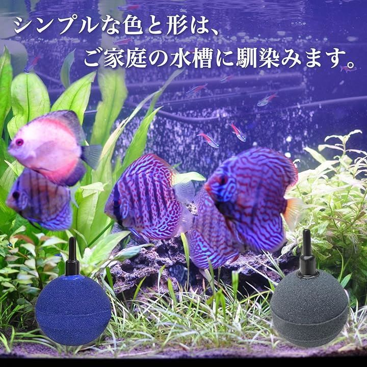ＦＵＫＵＭＩＤＯ エアーストーン 水槽 メダカ 水草 アクアリウム 水槽セット 金魚 飼育 エビ 熱帯魚 水耕栽培 バクテリア 20個セット 50mm(ブルー,  20個)