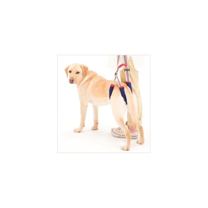 With ウィズ 歩行補助ハーネスLaLaWalkSTEP 中 大型犬用 2TE0003-85 F アイビー 犬 F 1