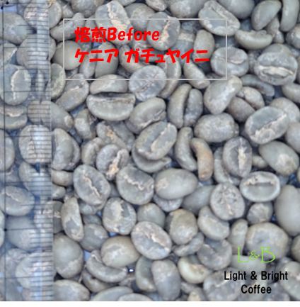 ケニア オタヤ農協 ガチュヤイニ AA スペシャルティコーヒー　ライトロースト　豆のまま　100g-3