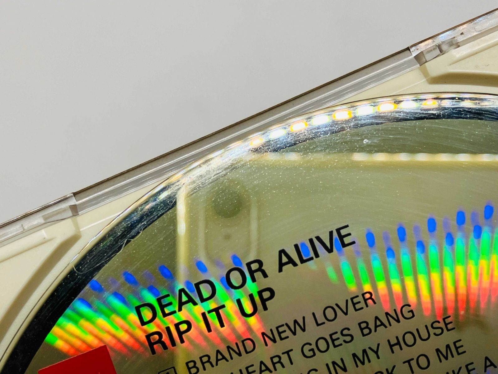 CD 旧規格 Dead Or Alive &frasl; Rip It Up デッド・オア・アライヴ リップ