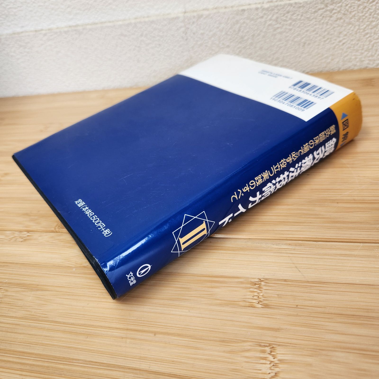 図解鍼灸療法技術ガイド 鍼灸臨床の場で必ず役立つ実践のすべて 1・2 図解 鍼灸療法技術ガイド I: 鍼灸臨床の場で必ず役立つ実践のすべて