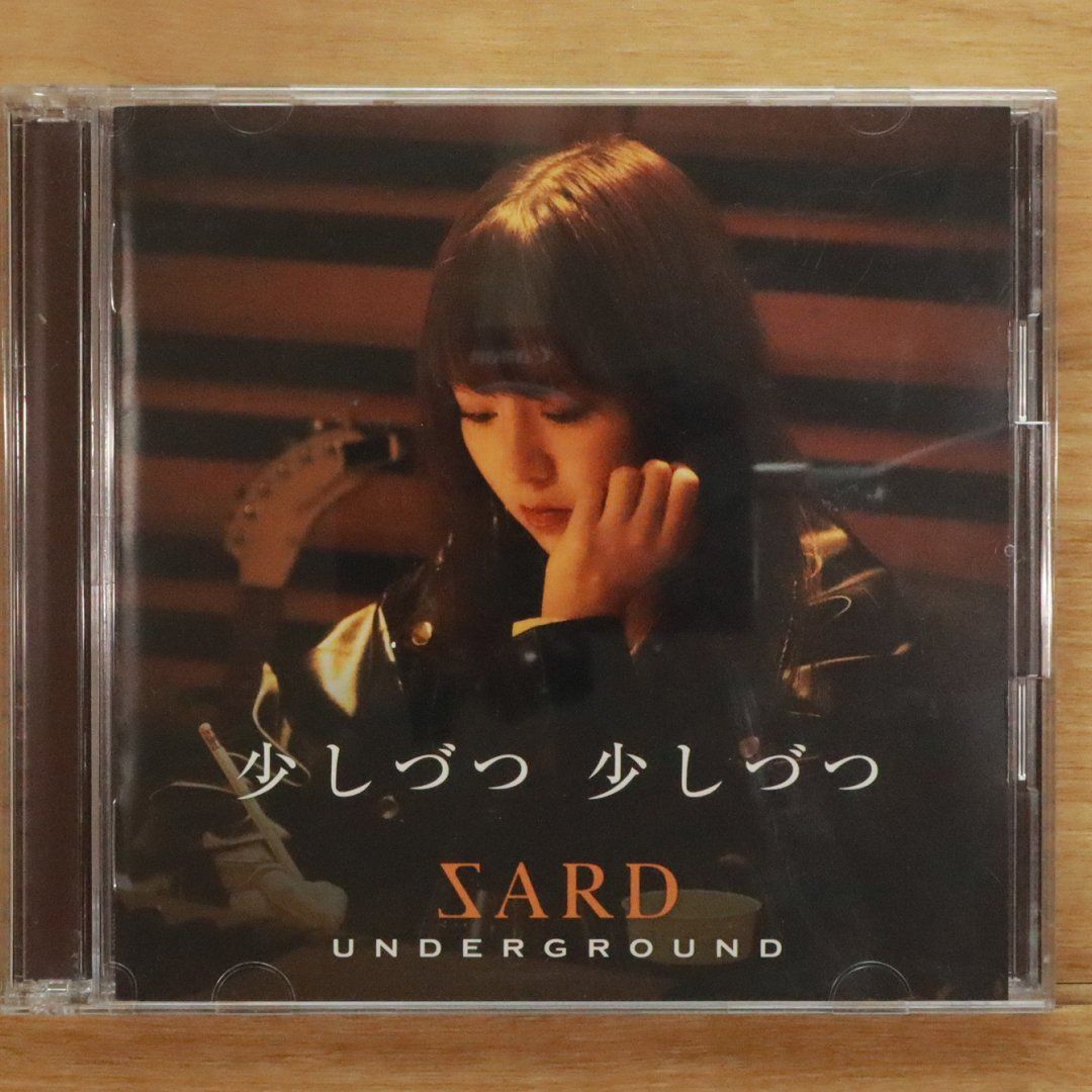 SARD UNDERGROUND 会報誌 1〜6(少し傷あり) SARD UNDERGROUND 会報誌 1〜6(少し傷あり)