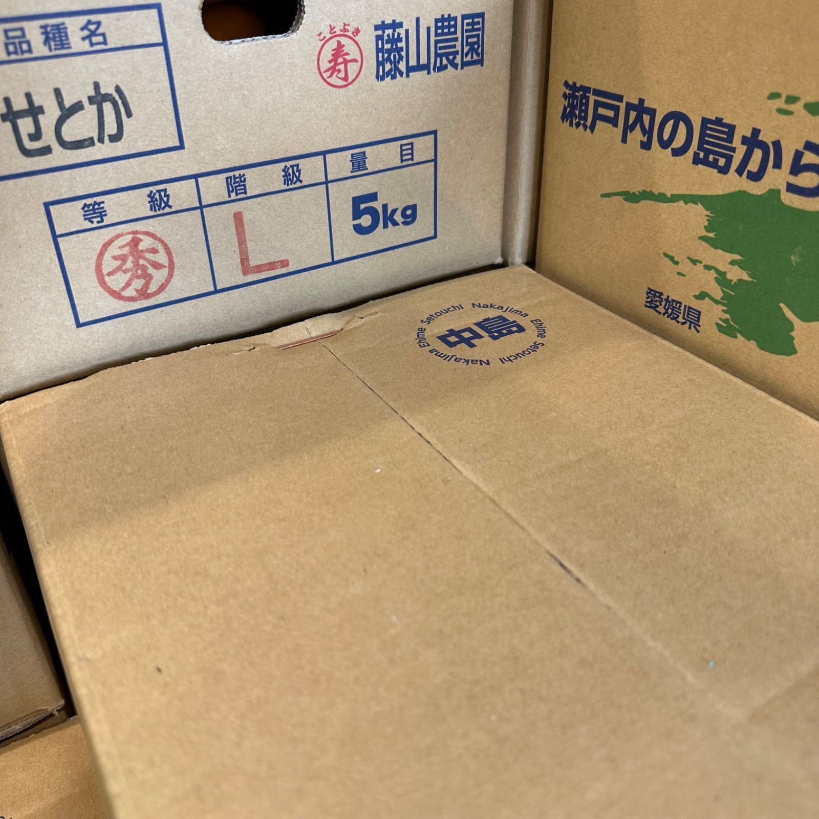 せとか2箱発送