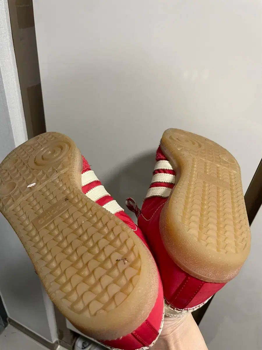 ウェールズボナー サンバ