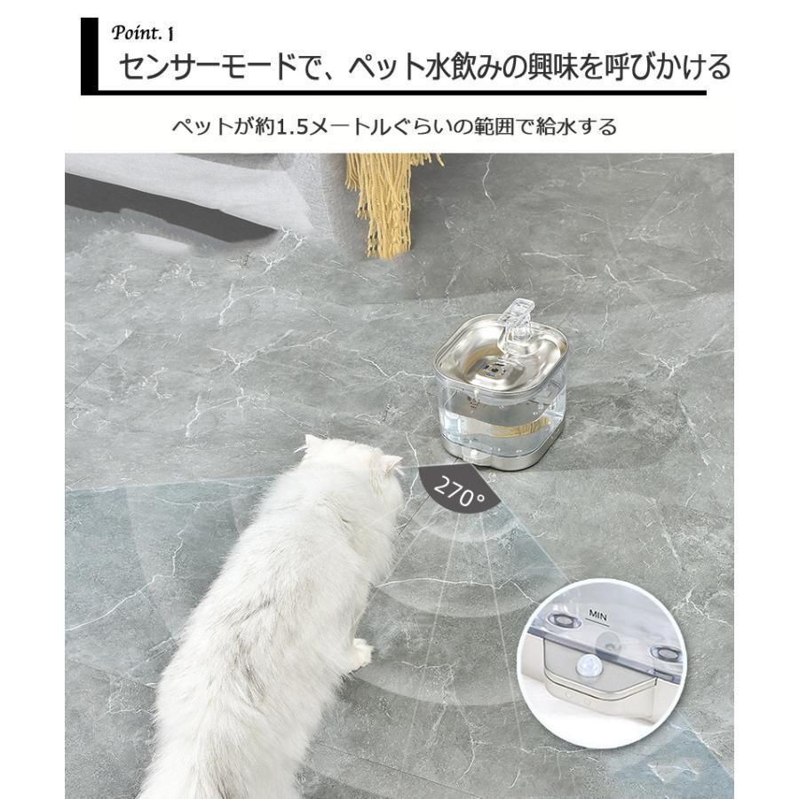 犬