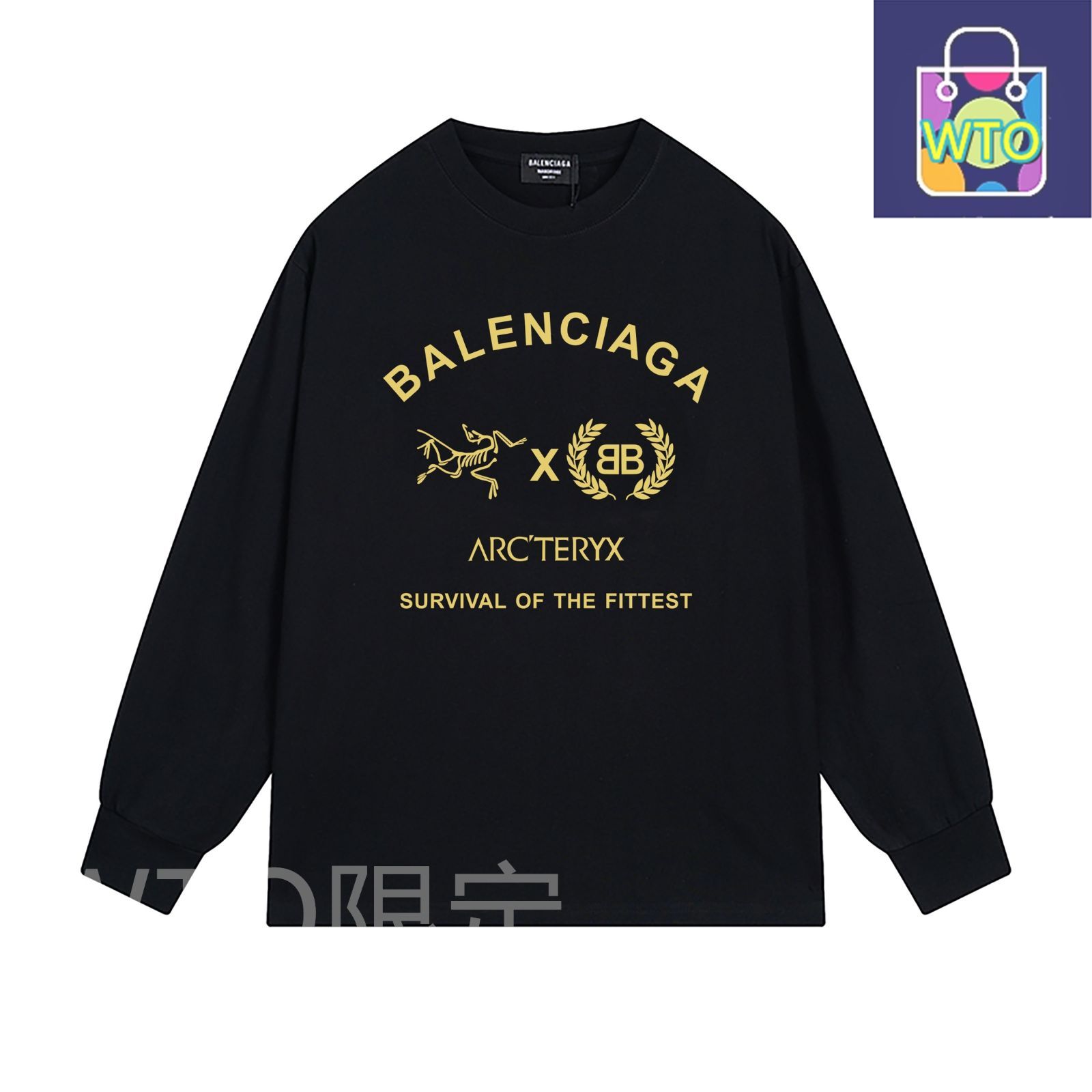 本日限定特価】Balenciaga × 始祖鳥 コラボ ロングスリーブT