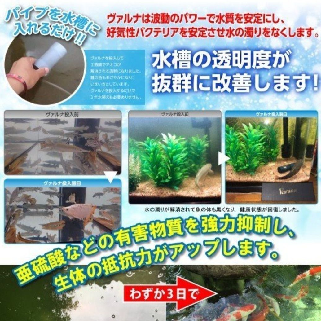 池の透明度が抜群に【ヴァルナ池用】病原菌や感染症など有害物質を強力