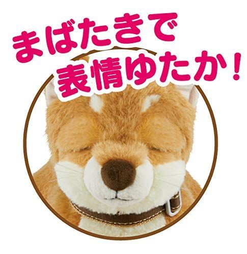 おしゃべりコミュニケーションペット