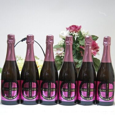 ６本セット モンドセレクション金賞の にごり梅酒 がスパークリングに 薩摩スパークリング 炭酸にごり梅酒 梅太夫 750ｍｌ×6本