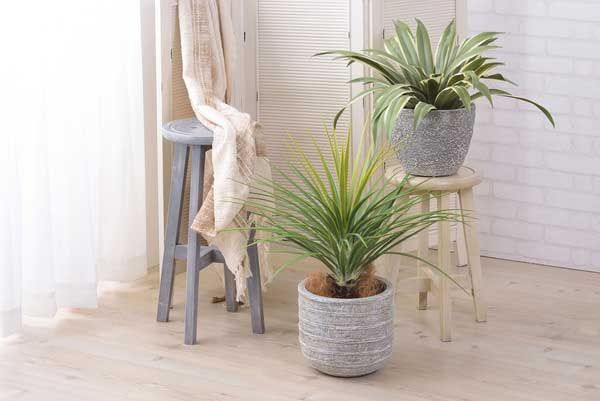 フェイクグリーン 人工観葉植物