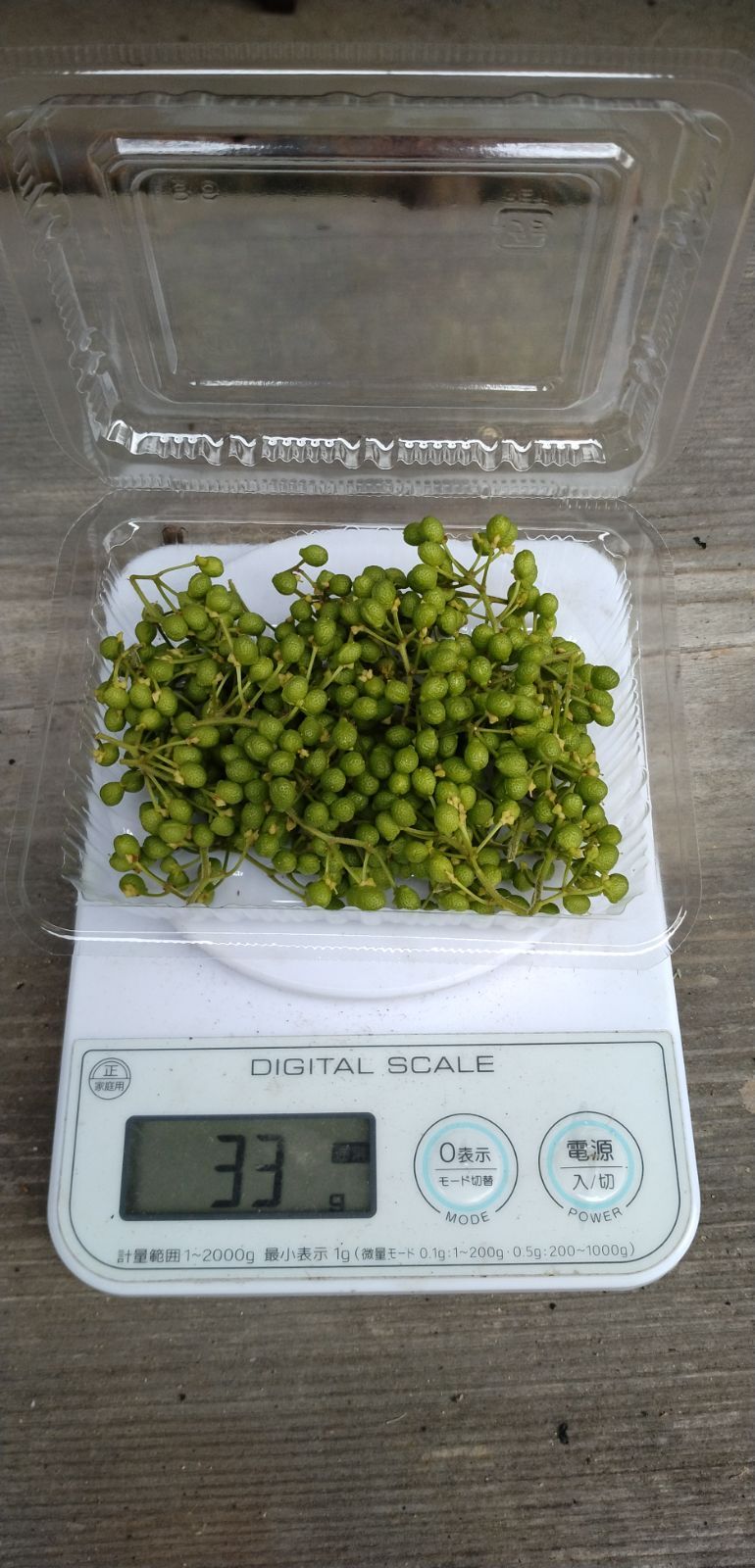 信州産 天然 花山椒 100g クール便送料込み 200g ¥13500 対応可