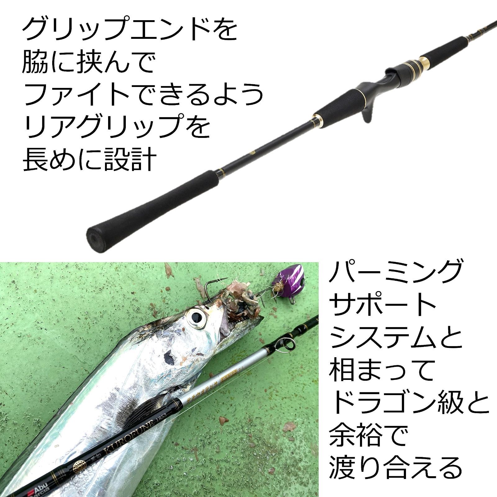 -タチウオテンヤアドバンス 9