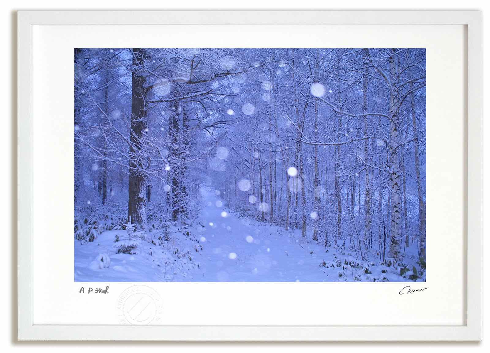 アートフォト 絵画 雪の小道1 高橋真澄 インテリア 額入り 額装込 風景画 油絵 ポスター アート アートパネル リビング 玄関 プレゼント モダン アートフレーム 飾る Mサイズ おしゃれ 壁掛け 絵