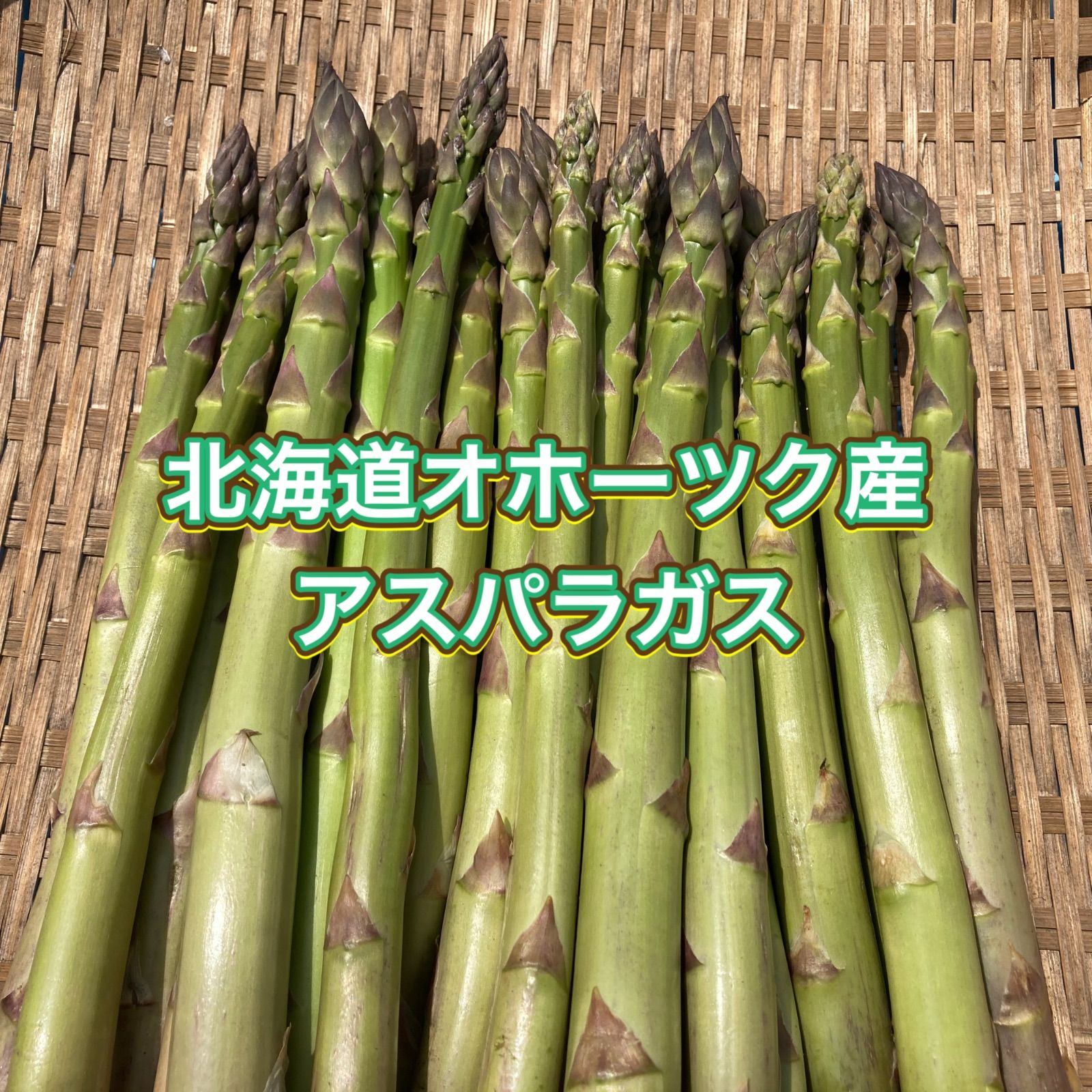 北海道オホーツク産アスパラガス 6キロ