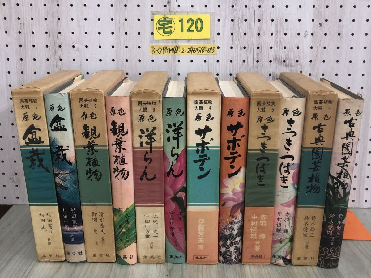 3-全6巻揃い セット 園芸植物大観 原色 1973年 昭和48年 集英社 盆栽 観葉植物 洋らん サボテン さつき つばき 古典園芸植物 シミ汚れ有  - アウトレットモール店