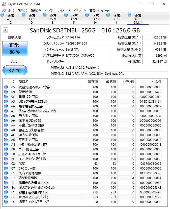 SanDisk SATA SSD X400 M.2 2280 256GB SED | sandisk【494】