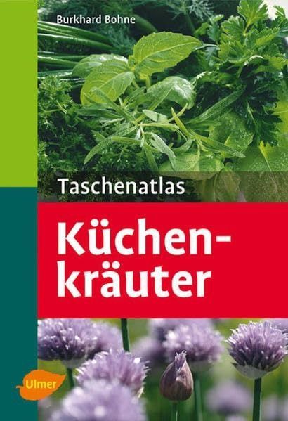 Taschenatlas Kuechenkraeuter 131 Pflanzenportraets