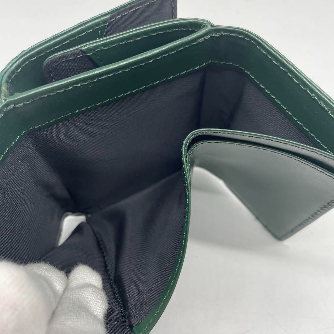 クロコダイル シャイニング