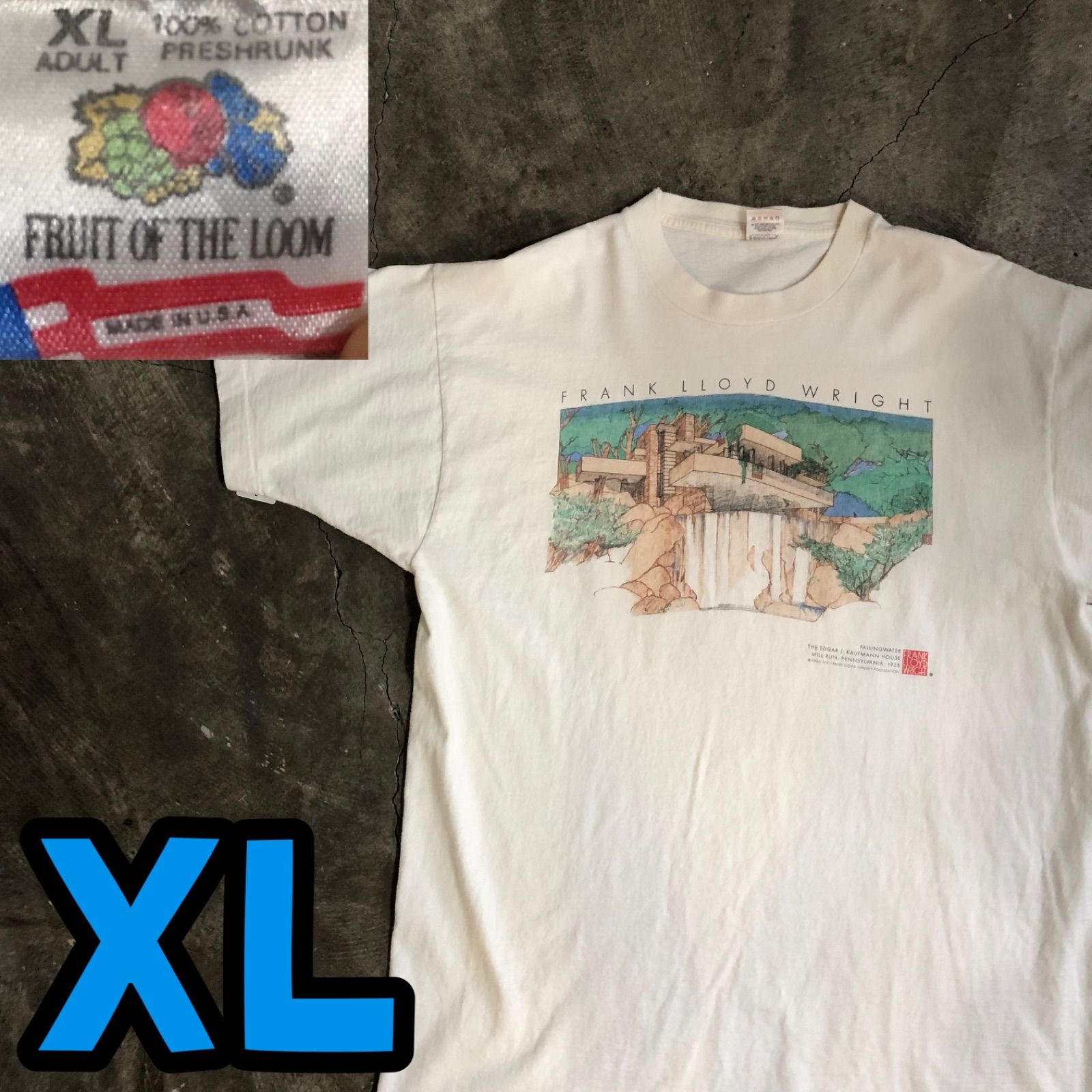 T5595 FRANK LLOYD WRIGHT 落水荘 Tシャツ USA製 - メルカリ