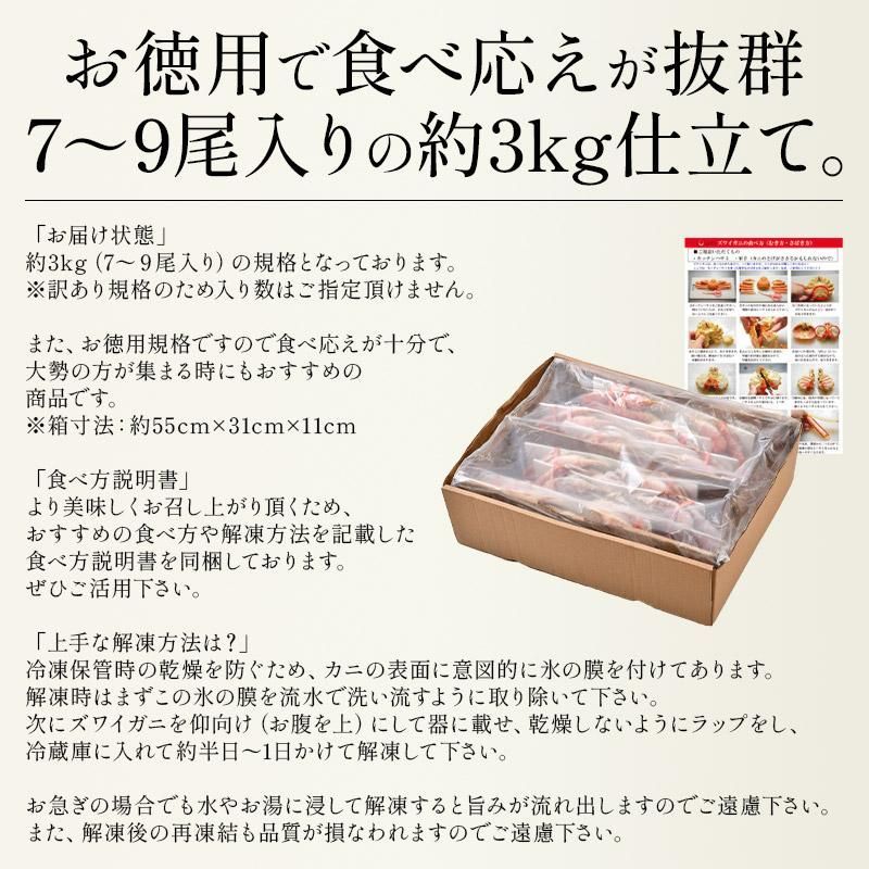 7～9尾入り オオズワイガニ