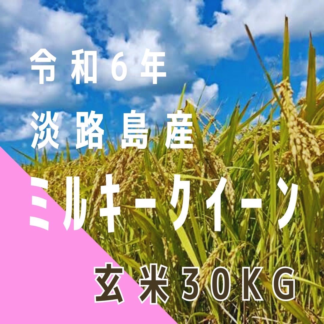 令和6年産 ミルキークィーン 玄米30キロ 淡路島 30kg