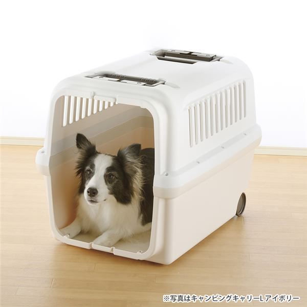 キャンピングキャリー XL アイボリー ペット用品