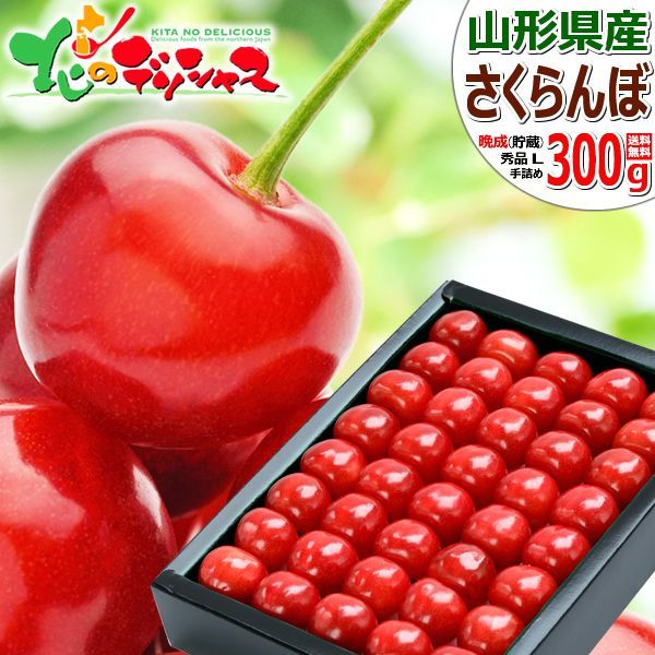 山形県産 晩成 さくらんぼ 300g (貯蔵品/秀品/Lサイズ/化粧箱入り/クール便) サクランボ 佐藤錦 紅秀峰 Lサイズ 大玉 お中元 ギフト 贈り物 贈答 お祝い お礼 プレゼント 果物 フルーツ 山形県 東根市 産地直送 お取り寄せ