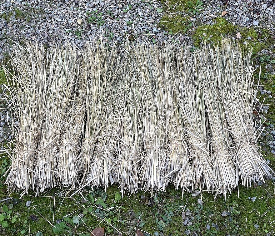 天日干し稲藁（長さ約80cm）約52束　無肥料　農薬、除草剤不使用 稲藁（長さ約80cm）6kg26束 無肥料 農薬、除草剤不使用 天日干し