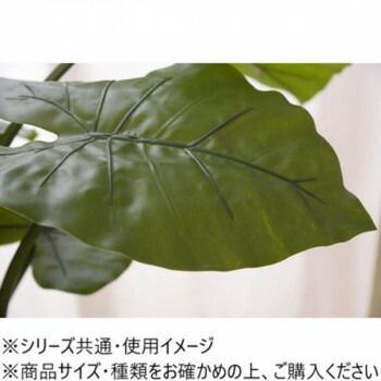 フェイクグリーン クワズイモ