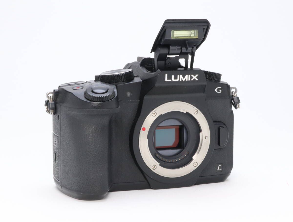  AB Panasonic パナソニック LUMIX DMC G 8 ボディ ブラック 初期不良 対応 110 79 ミラーレス一眼 デジタルカメラ