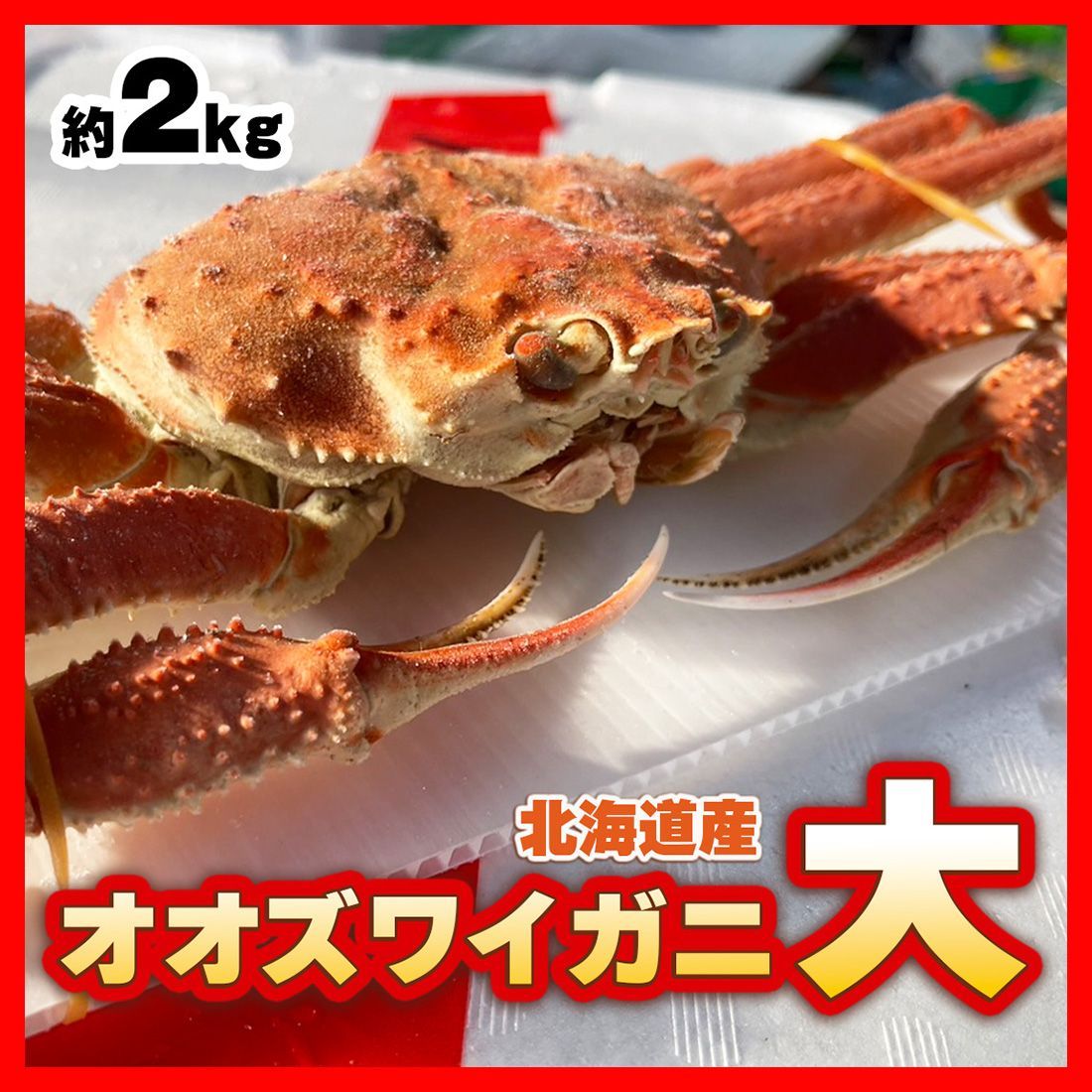 訳あり【北海道 噴火湾産】オオズワイガニ（大）２kg 400～450g前後×約4～5杯 生冷凍北海道グルメ国産バルダイ種 送料無料 父の日 母の日 ギフト