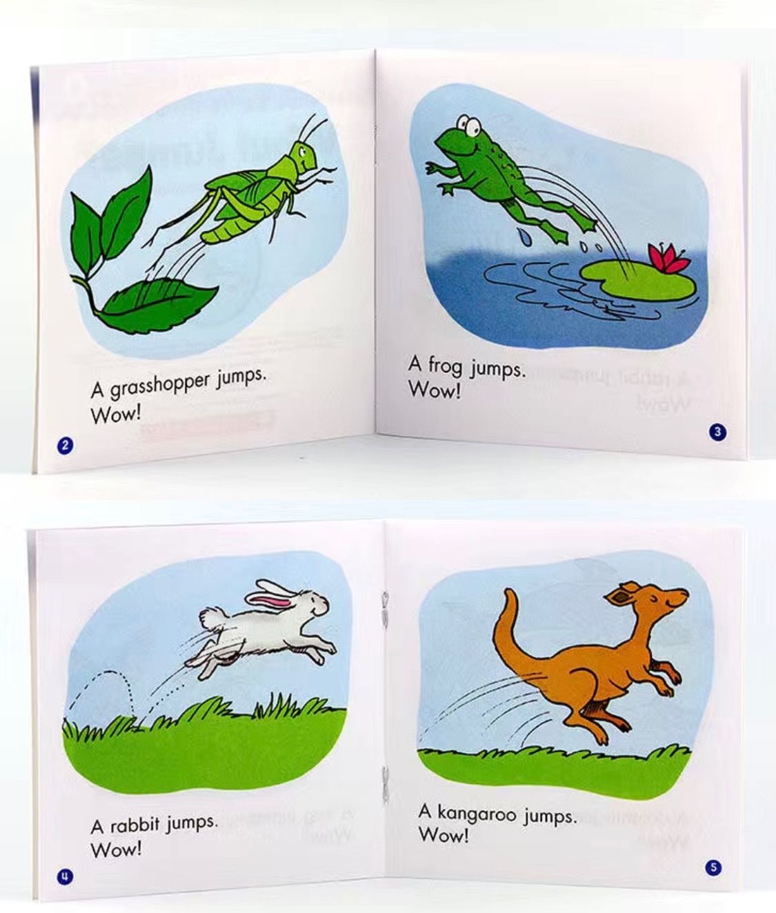 新品 Nonfiction Sight Word Readers マイヤペン対応版箱付 CD付